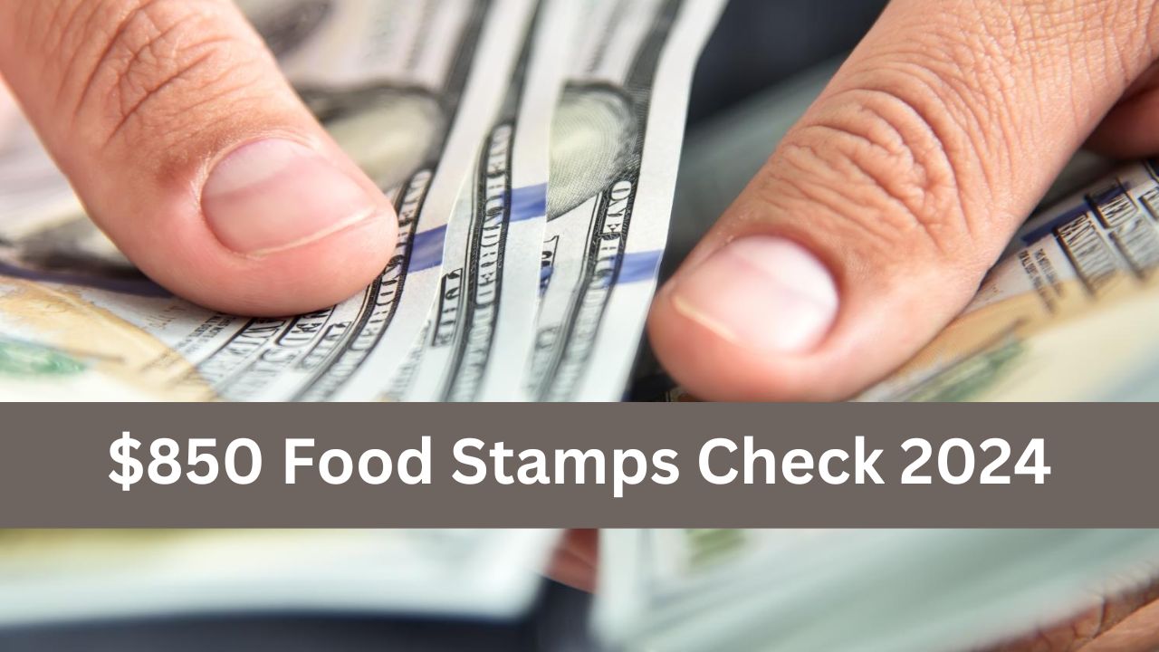 $850 Food Stamps Check 2024